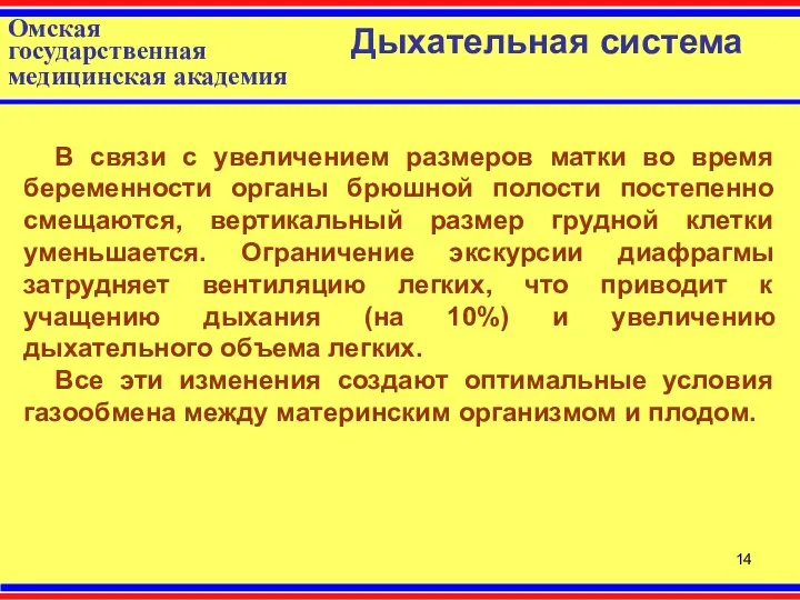 Омская государственная медицинская академия Дыхательная система В связи с увеличением размеров матки