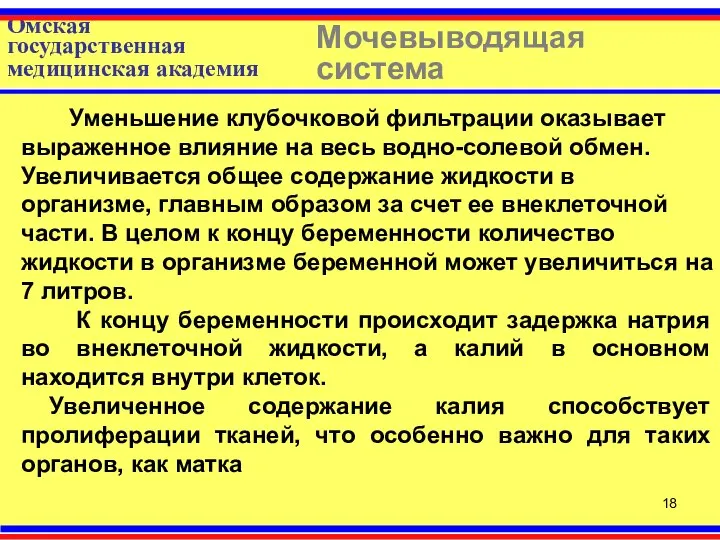 Омская государственная медицинская академия Мочевыводящая система Уменьшение клубочковой фильтрации оказывает выраженное влияние