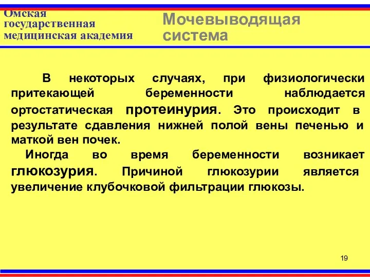 Омская государственная медицинская академия Мочевыводящая система В некоторых случаях, при физиологически притекающей