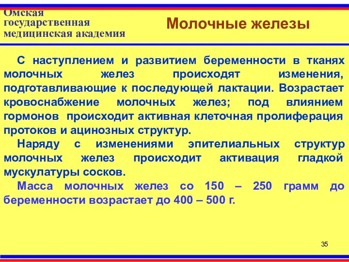 Омская государственная медицинская академия Молочные железы С наступлением и развитием беременности в