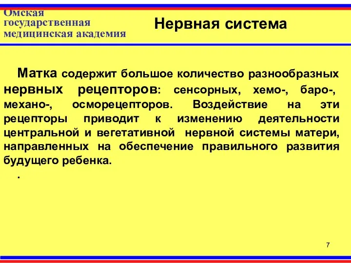 Омская государственная медицинская академия Нервная система Матка содержит большое количество разнообразных нервных