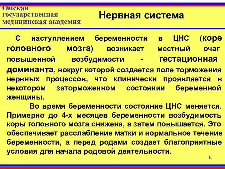 Омская государственная медицинская академия Нервная система С наступлением беременности в ЦНС (коре