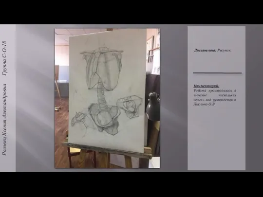 Роговец Ксения Александровна Группа С-О-18 Дисциплина: Рисунок. Комментарий: Работа производилась в течение