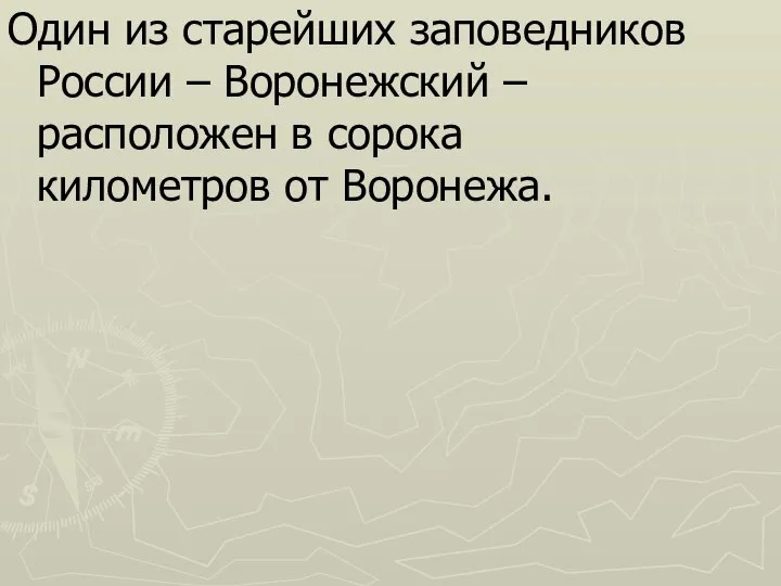 Один из старейших заповедников России – Воронежский – расположен в сорока километров от Воронежа.