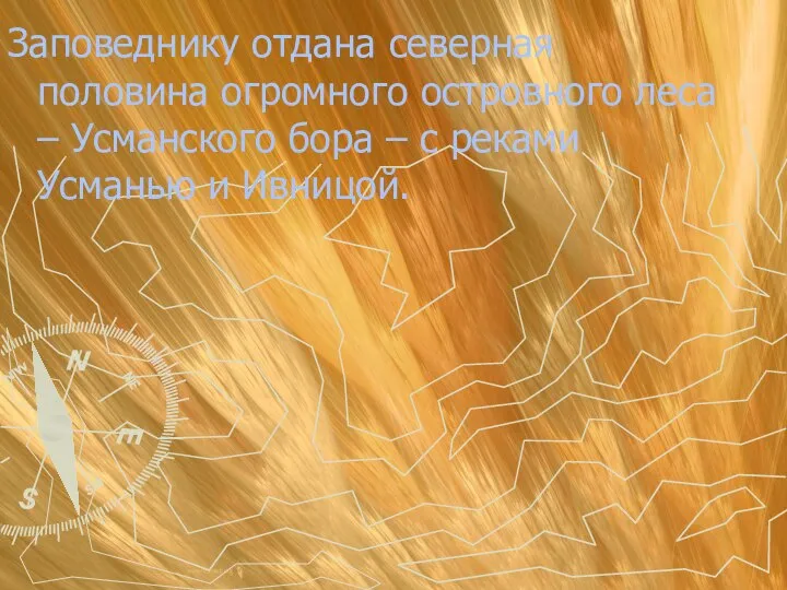 Заповеднику отдана северная половина огромного островного леса – Усманского бора – с реками Усманью и Ивницой.