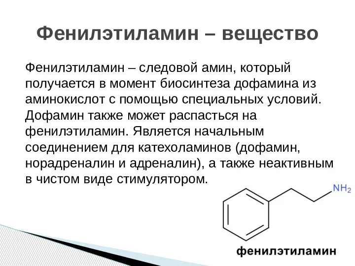 Фенилэтиламин – следовой амин, который получается в момент биосинтеза дофамина из аминокислот