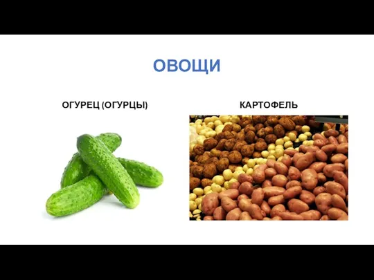 ОВОЩИ ОГУРЕЦ (ОГУРЦЫ) КАРТОФЕЛЬ