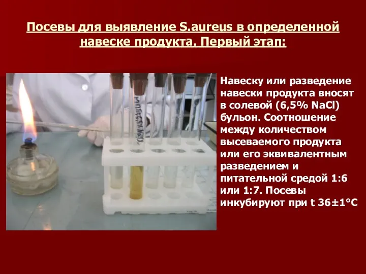 Посевы для выявление S.aureus в определенной навеске продукта. Первый этап: Навеску или