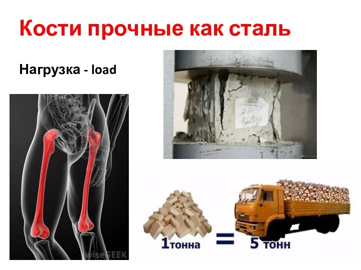 Кости прочные как сталь Нагрузка - load