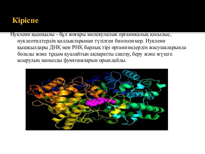 Кіріспе Нуклеин қышқылы - бұл жоғары молекулалық органикалық қосылыс, нуклеотидтердің қалдықтарынан түзілген