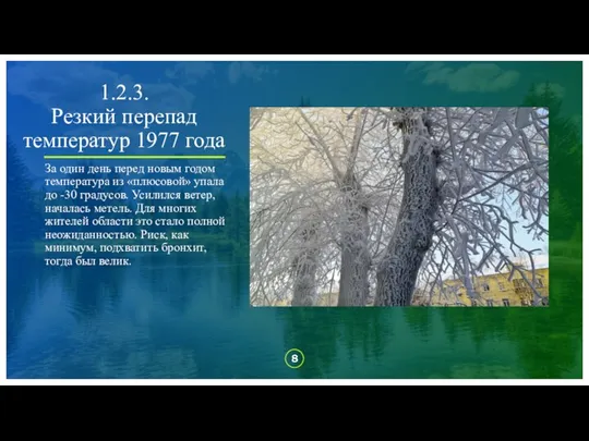 1.2.3. Резкий перепад температур 1977 года За один день перед новым годом