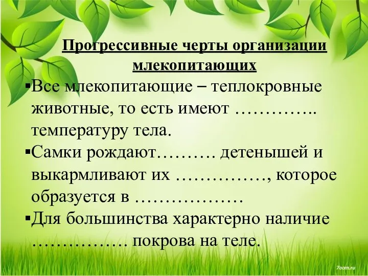 Прогрессивные черты организации млекопитающих Все млекопитающие – теплокровные животные, то есть имеют