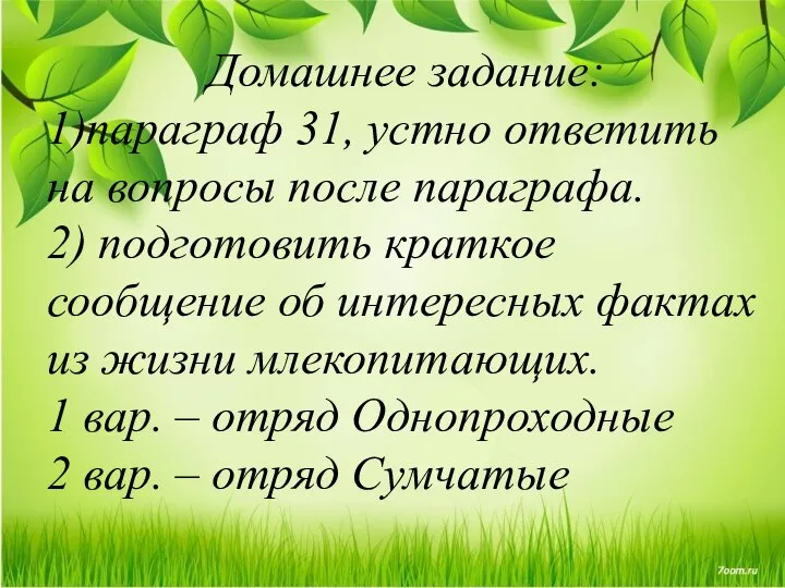 Домашнее задание: 1)параграф 31, устно ответить на вопросы после параграфа. 2) подготовить