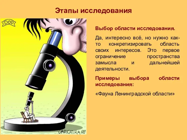 Выбор области исследования. Да, интересно всё, но нужно как-то конкретизировать область своих