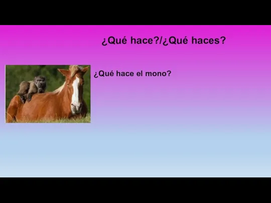 ¿Qué hace?/¿Qué haces? ¿Qué hace el mono?