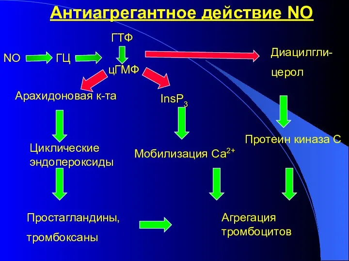 Антиагрегантное действие NO NO ГТФ цГМФ ГЦ Арахидоновая к-та Циклические эндопероксиды Простагландины,