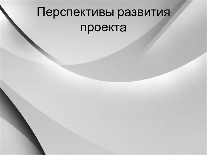 Перспективы развития проекта