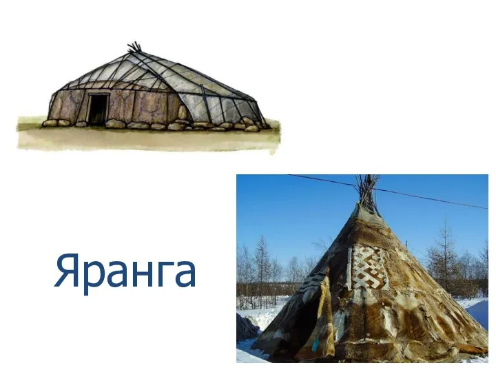 Яранга