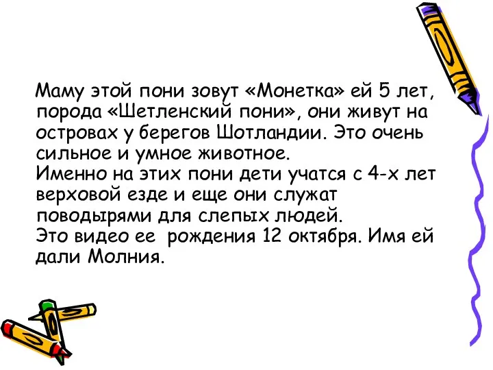 Маму этой пони зовут «Монетка» ей 5 лет, порода «Шетленский пони», они