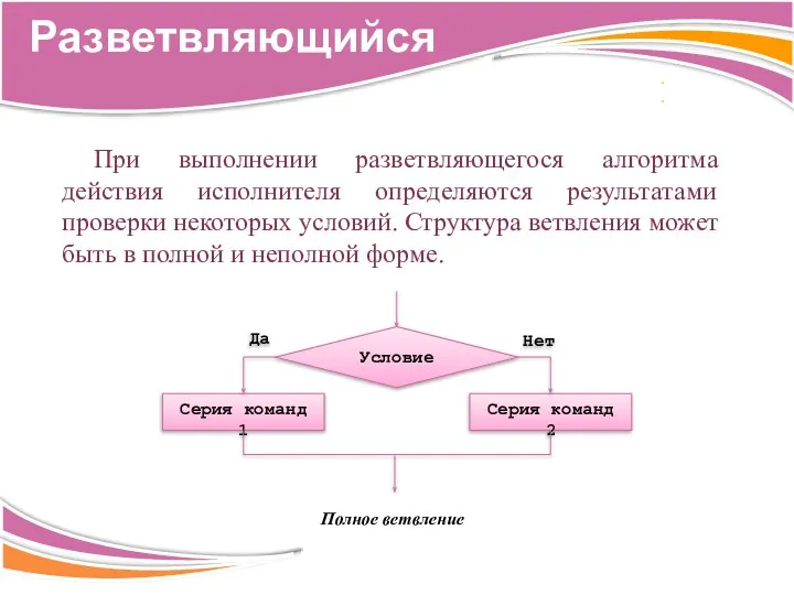 При выполнении разветвляющегося алгоритма действия исполнителя определяются результатами проверки некоторых условий. Структура