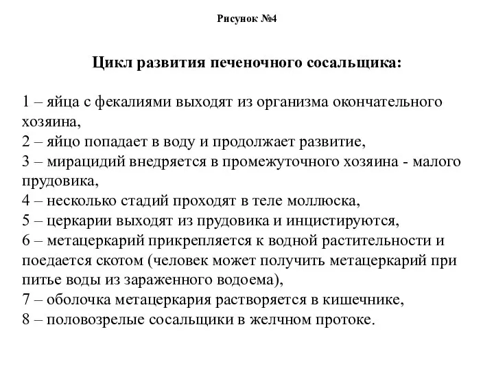 Рисунок №4 Цикл развития печеночного сосальщика: 1 – яйца с фекалиями выходят