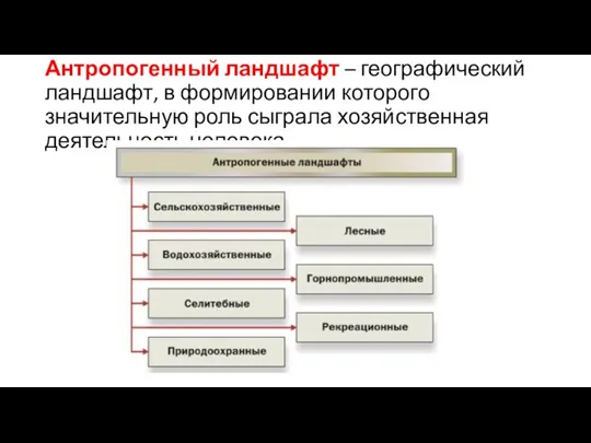 Антропогенный ландшафт – географический ландшафт, в формировании которого значительную роль сыграла хозяйственная деятельность человека.