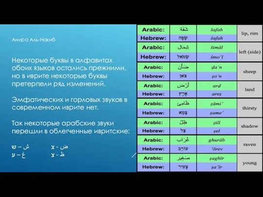 Анира Аль-Накиб Некоторые буквы в алфавитах обоих языков остались прежними, но в