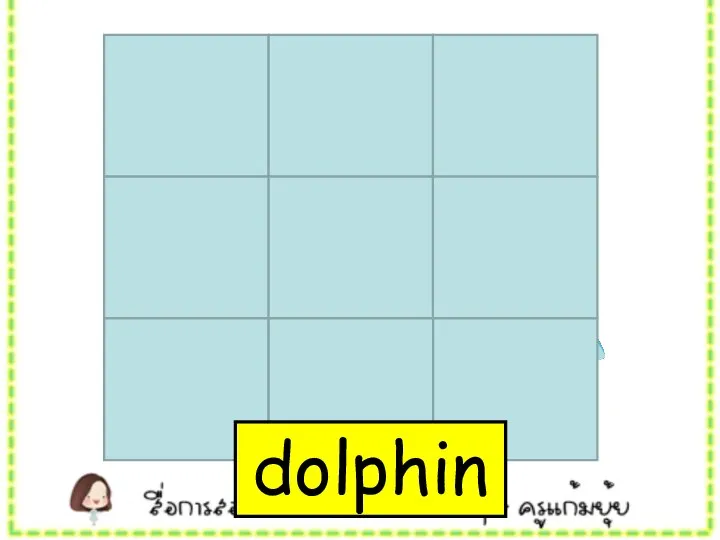 dolphin