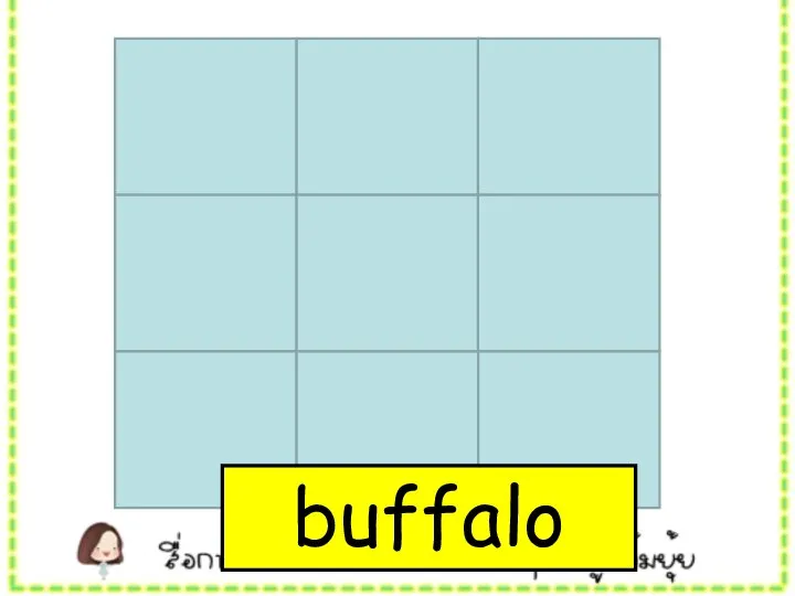 buffalo