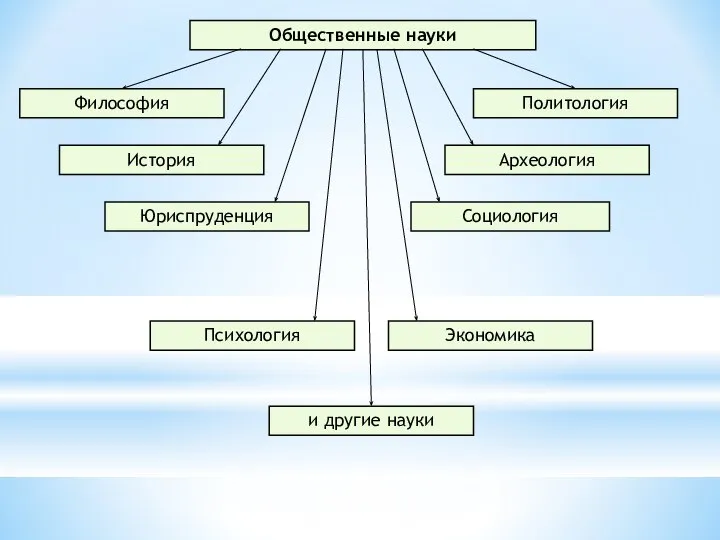 Общественные науки Философия Социология Политология Археология История Юриспруденция Психология Экономика и другие науки