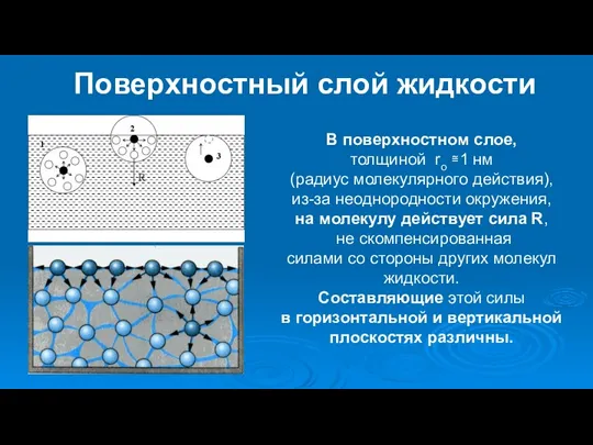 Поверхностный слой жидкости В поверхностном слое, толщиной rо ≅1 нм (радиус молекулярного