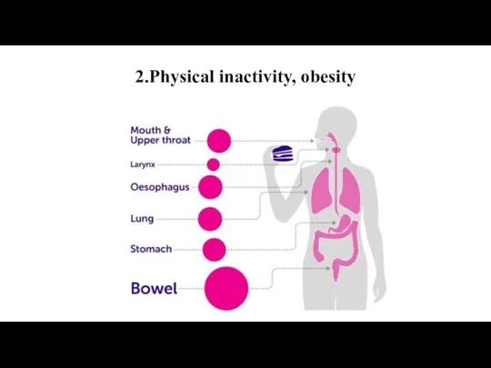 2.Physical inactivity, obesity