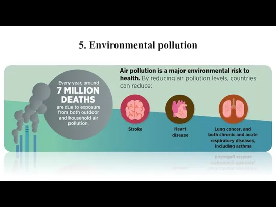 5. Environmental pollution