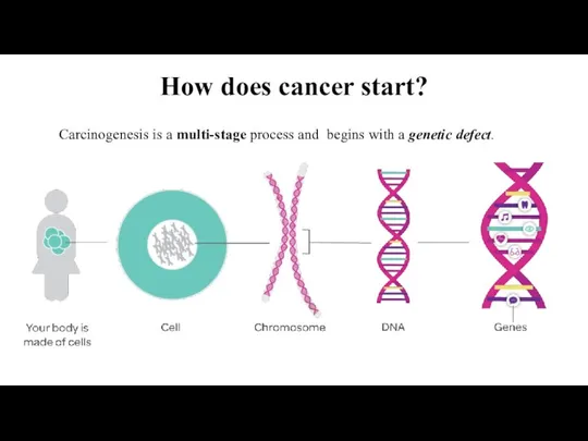 How does cancer start? Carcinogenesis is a multi-stage process and begins with a genetic defect.