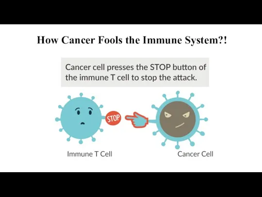 How Cancer Fools the Immune System?!