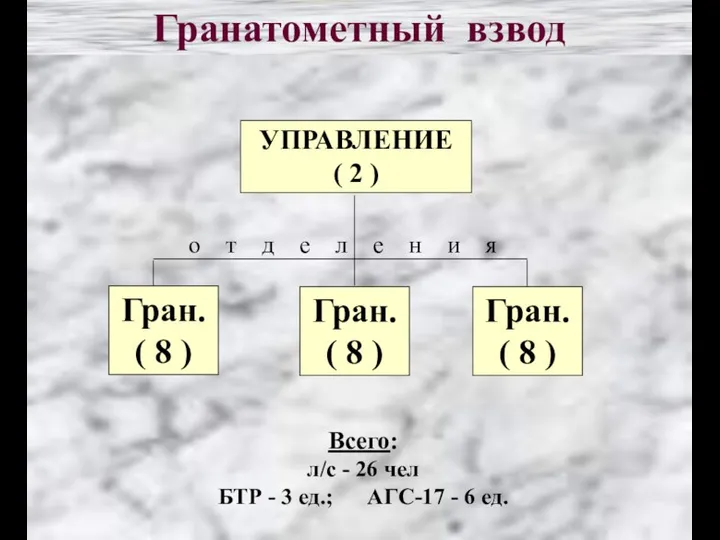 УПРАВЛЕНИЕ ( 2 ) Гран. ( 8 ) Гранатометный взвод Всего: л/с