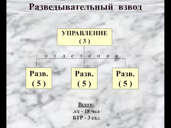 УПРАВЛЕНИЕ ( 3 ) Разв. ( 5 ) Разведывательный взвод Всего: л/с