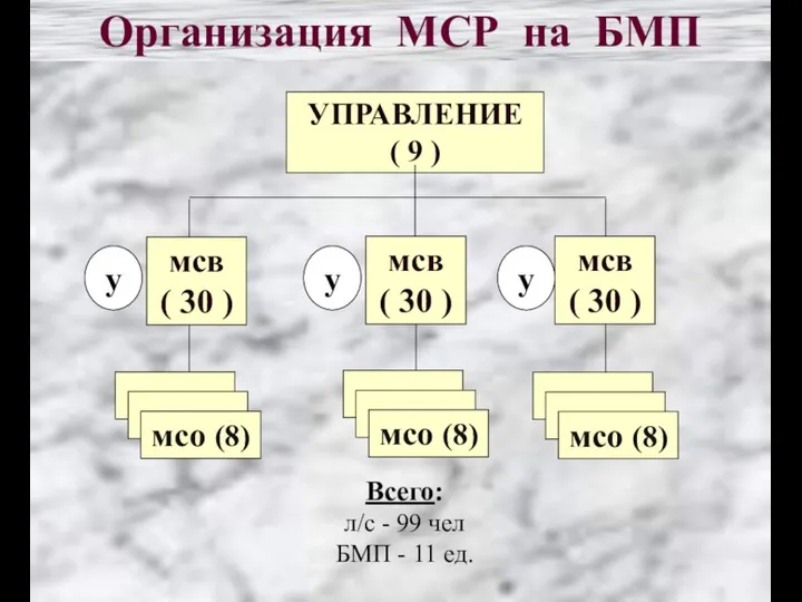 УПРАВЛЕНИЕ ( 9 ) мсв ( 30 ) Организация МСР на БМП