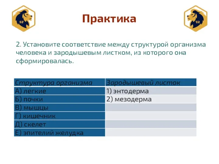 Практика 2. Установите соответствие между структурой организма человека и зародышевым листком, из которого она сформировалась.