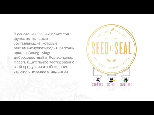 В основе Seed to Seal лежат три фундаментальные составляющие, которые регламентируют каждый