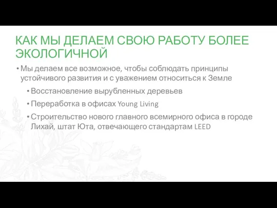 КАК МЫ ДЕЛАЕМ СВОЮ РАБОТУ БОЛЕЕ ЭКОЛОГИЧНОЙ Мы делаем все возможное, чтобы