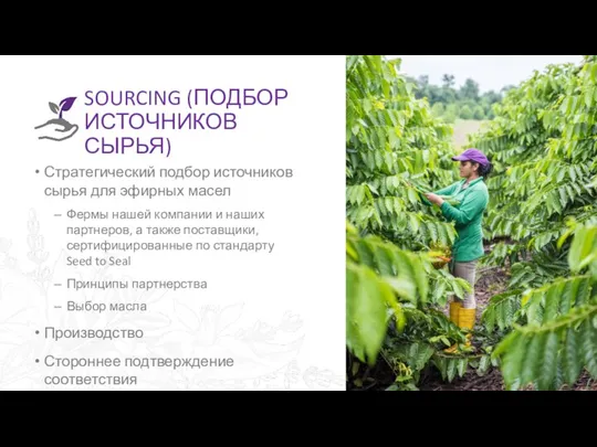 SOURCING (ПОДБОР ИСТОЧНИКОВ СЫРЬЯ) Стратегический подбор источников сырья для эфирных масел Фермы