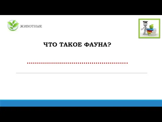 ЖИВОТНЫЕ ЧТО ТАКОЕ ФАУНА? …………………………………………..