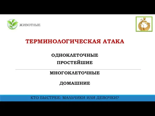 ЖИВОТНЫЕ ТЕРМИНОЛОГИЧЕСКАЯ АТАКА ОДНОКЛЕТОЧНЫЕ ПРОСТЕЙШИЕ МНОГОКЛЕТОЧНЫЕ ДОМАШНИЕ КТО БЫСТРЕЕ: МАЛЬЧИКИ ИЛИ ДЕВОЧКИ?