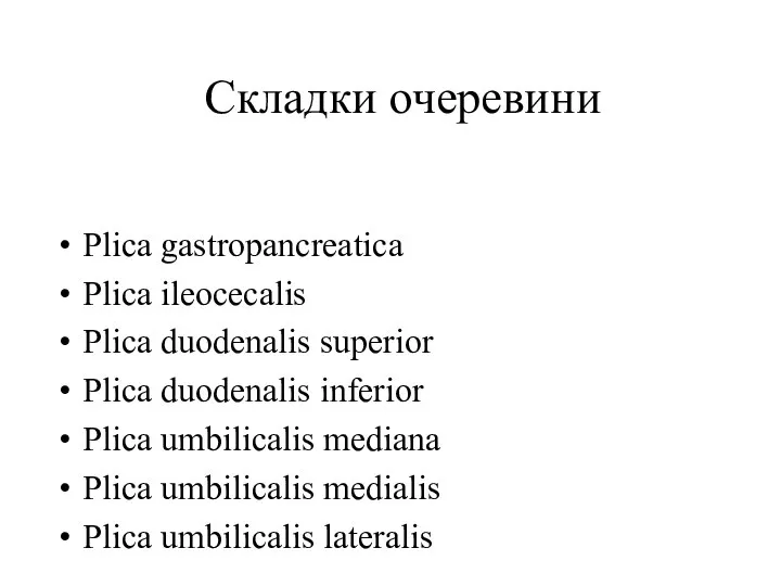 Plica gastropancreatica Plica ileocecalis Plica duodenalis superior Plica duodenalis inferior Plica umbilicalis