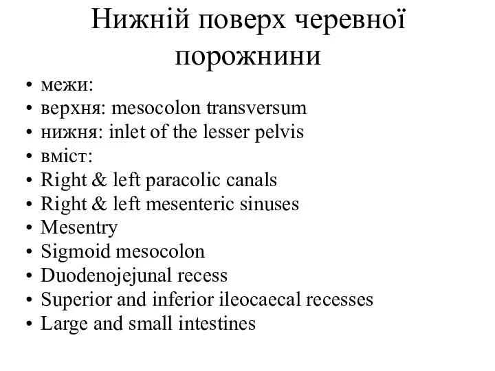 межи: верхня: mesocolon transversum нижня: inlet of the lesser pelvis вміст: Right