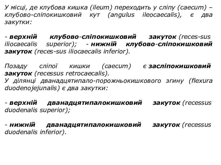 У місці, де клубова кишка (ileum) переходить у сліпу (caecum) – клубово-сліпокишковий