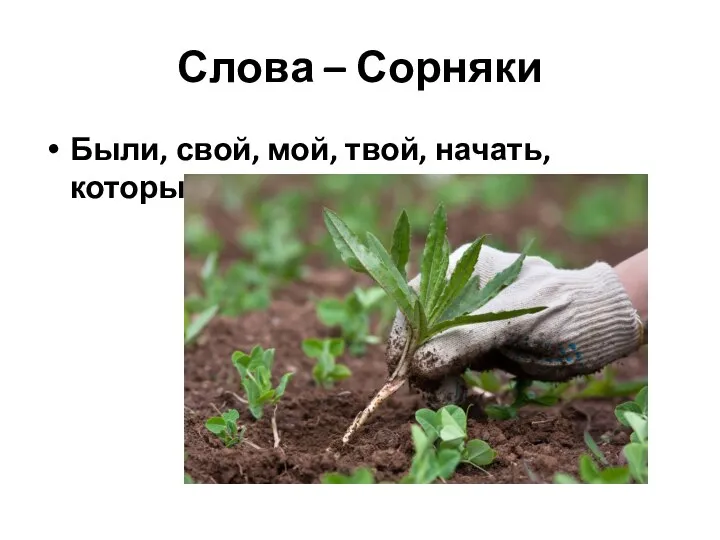 Слова – Сорняки Были, свой, мой, твой, начать, который, короче,