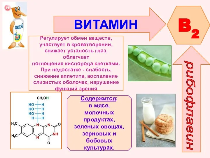 ВИТАМИН B2 рибофлавин Регулирует обмен веществ, участвует в кроветворении, снижает усталость глаз,