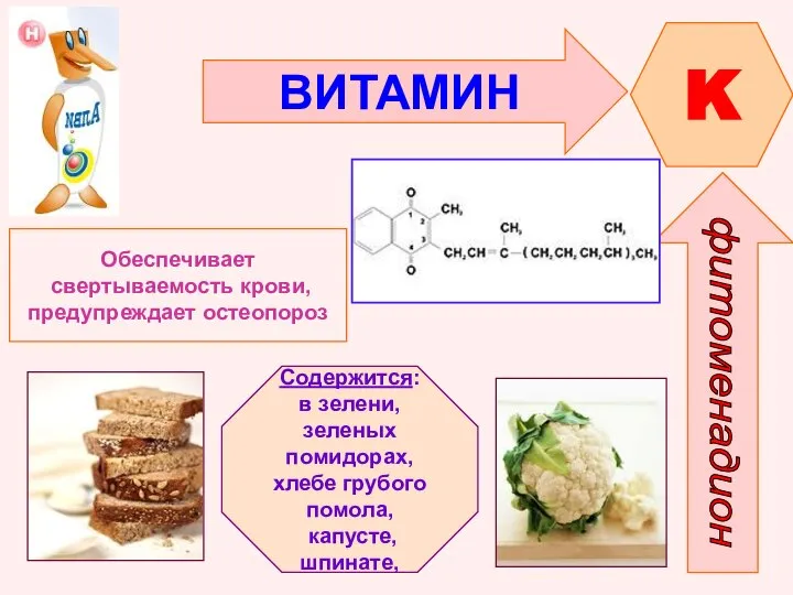 ВИТАМИН K Обеспечивает свертываемость крови, предупреждает остеопороз Содержится: в зелени, зеленых помидорах,